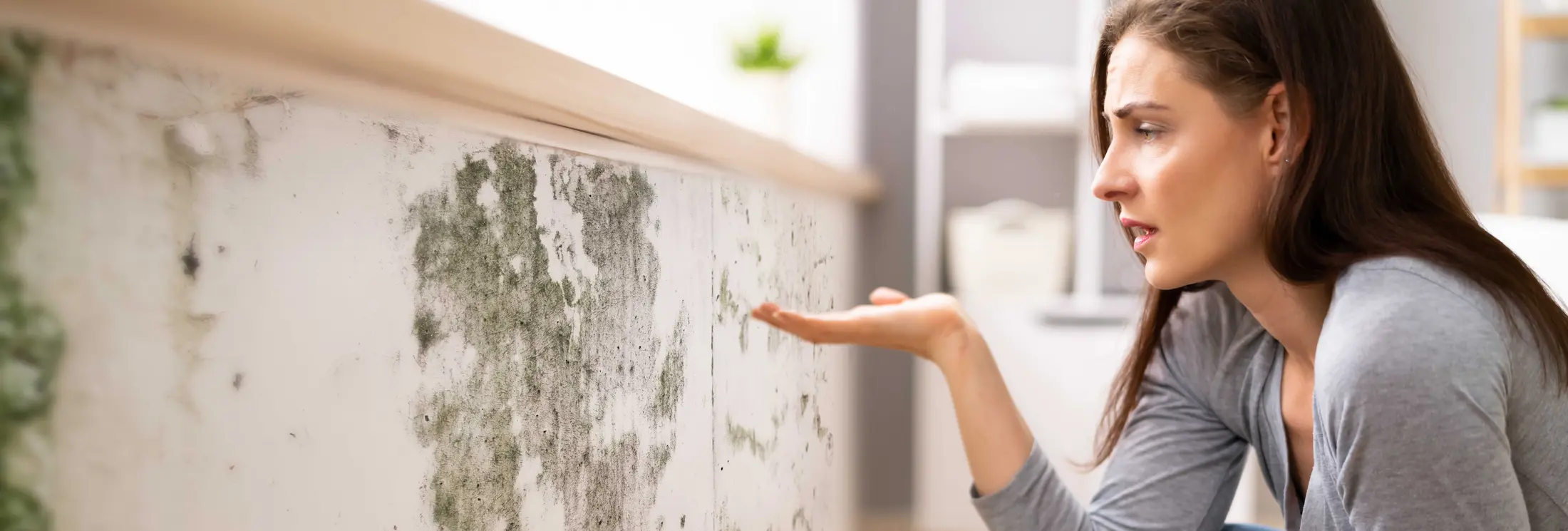 Fallrohrsanierung Chemnitz Fallrohrsanierung Chemnitz